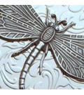 Dragonflies